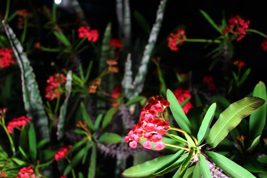 Pousada Vila Cipo Hotel Serra do Cipo National Park Kültér fotó